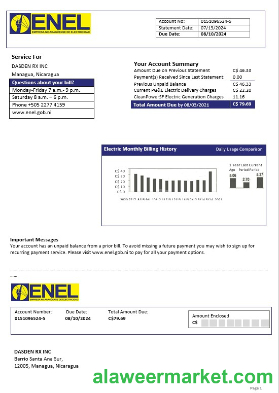 Nicaragua Nicaraguan Electricity Company ENEL electricity business utility bill template in Word and PDF formats
